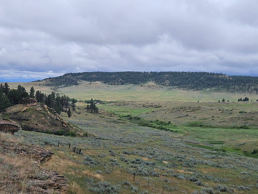 Rosebud Battlefield from the Buffalo Jump