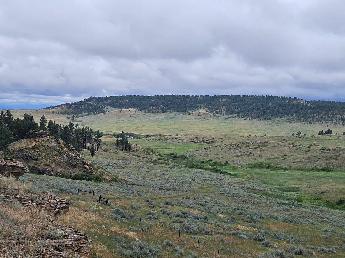 Rosebud Battlefield from the Buffalo Jump